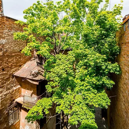 Near Rynok Square є кондиціонер Apartment Lviv